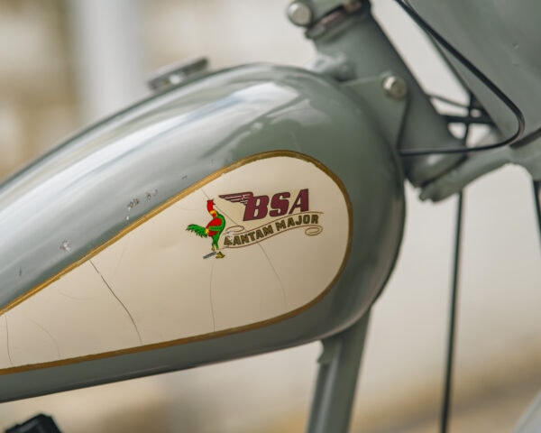 WIN THIS 1955 BSA Bantam D3 150cc (LOW ODDS 1/300) - Image 13