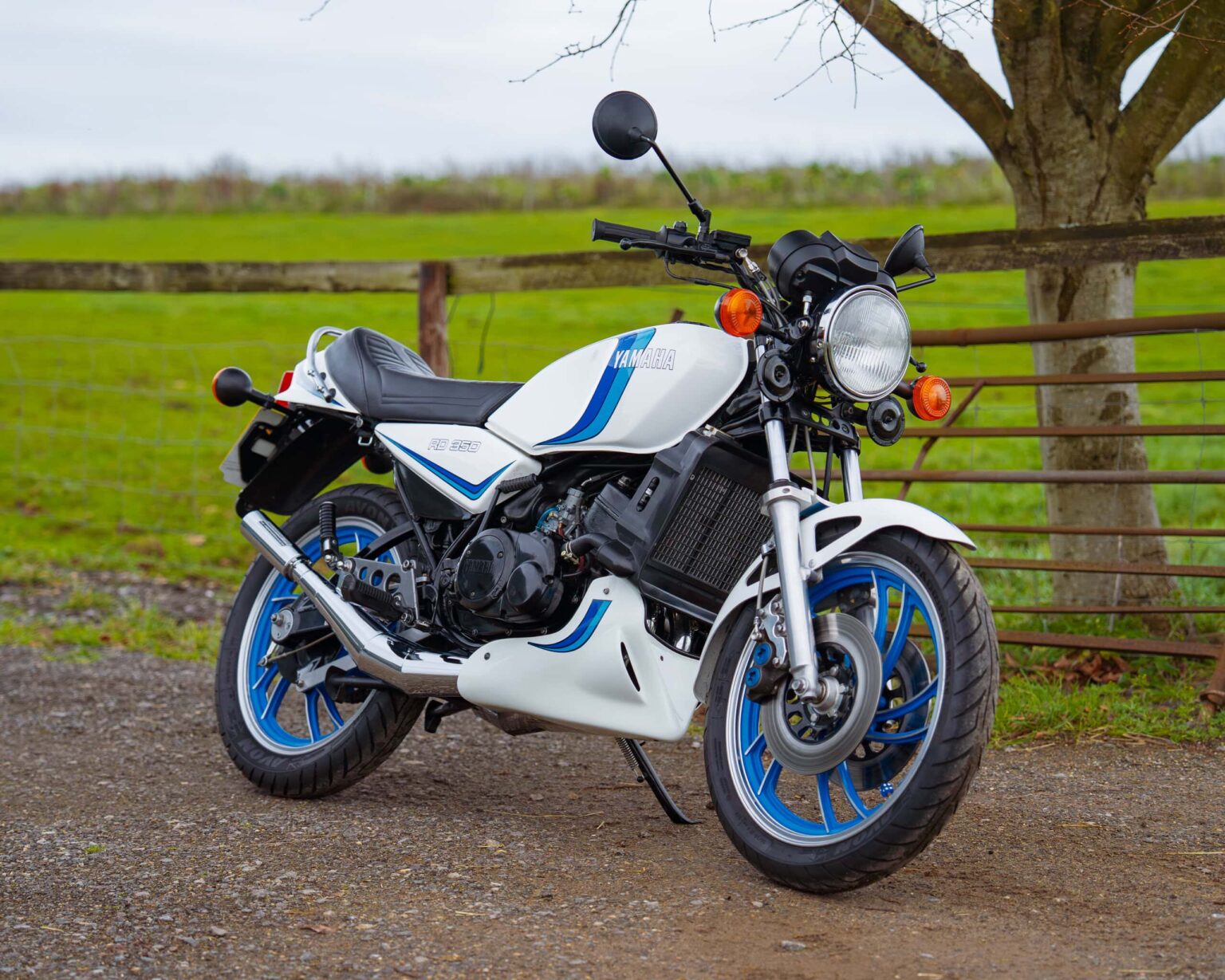 Open-air shot of a vintage Yamaha RD250 bike with white and blue details.