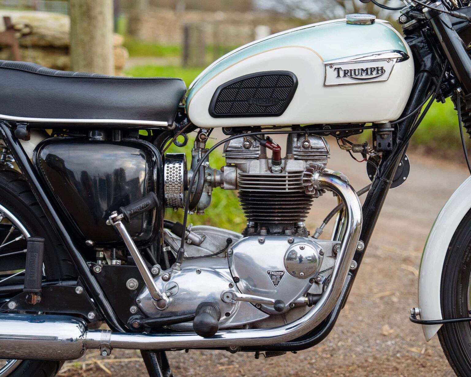 Triumph vintage motorcycle with a white fuel tank and black seat.